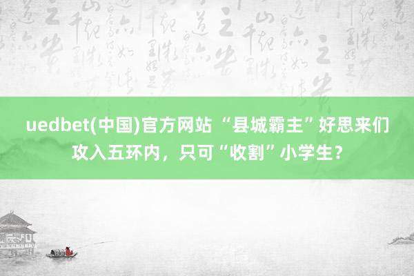 uedbet(中国)官方网站 “县城霸主”好思来们攻入五环内，只可“收割”小学生？