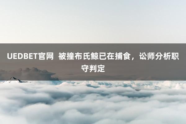 UEDBET官网  被撞布氏鲸已在捕食，讼师分析职守判定