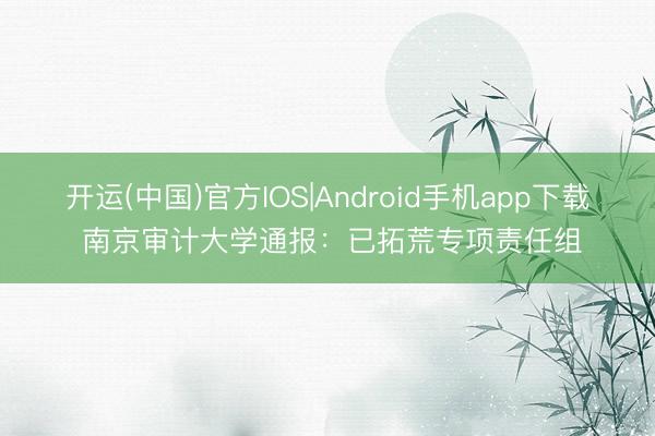 开运(中国)官方IOS|Android手机app下载 南京审计大学通报：已拓荒专项责任组