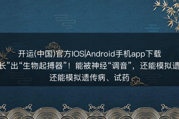 开运(中国)官方IOS|Android手机app下载 培养皿里“长”出“生物起搏器”！能被神经“调音”，还能模拟遗传病、试药