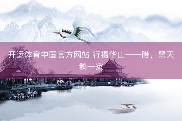 开运体育中国官方网站 行摄华山——瞧，黑天鹅一家