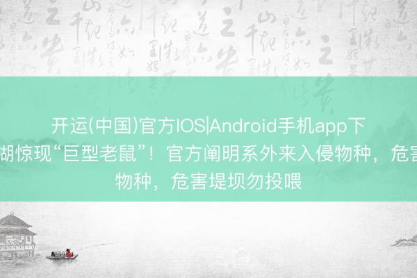 开运(中国)官方IOS|Android手机app下载 扬州邵伯湖惊现“巨型老鼠”！官方阐明系外来入侵物种，危害堤坝勿投喂