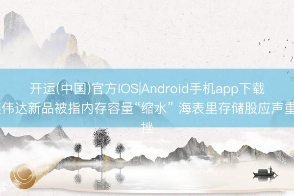 开运(中国)官方IOS|Android手机app下载 英伟达新品被指内存容量“缩水” 海表里存储股应声重挫