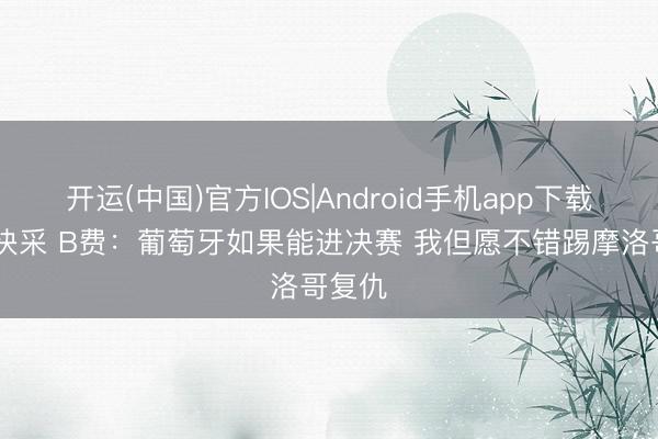 开运(中国)官方IOS|Android手机app下载 曼联快采 B费：葡萄牙如果能进决赛 我但愿不错踢摩洛哥复仇
